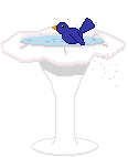 bird_bath_3.gif